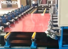 Pre cut signle steel sheet door panel roll forming machine
