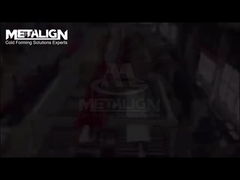 High-Efficiency Roll Forming Machine for Slanted Metal Grain Silo Roof Panels with Pre-Punched Holes